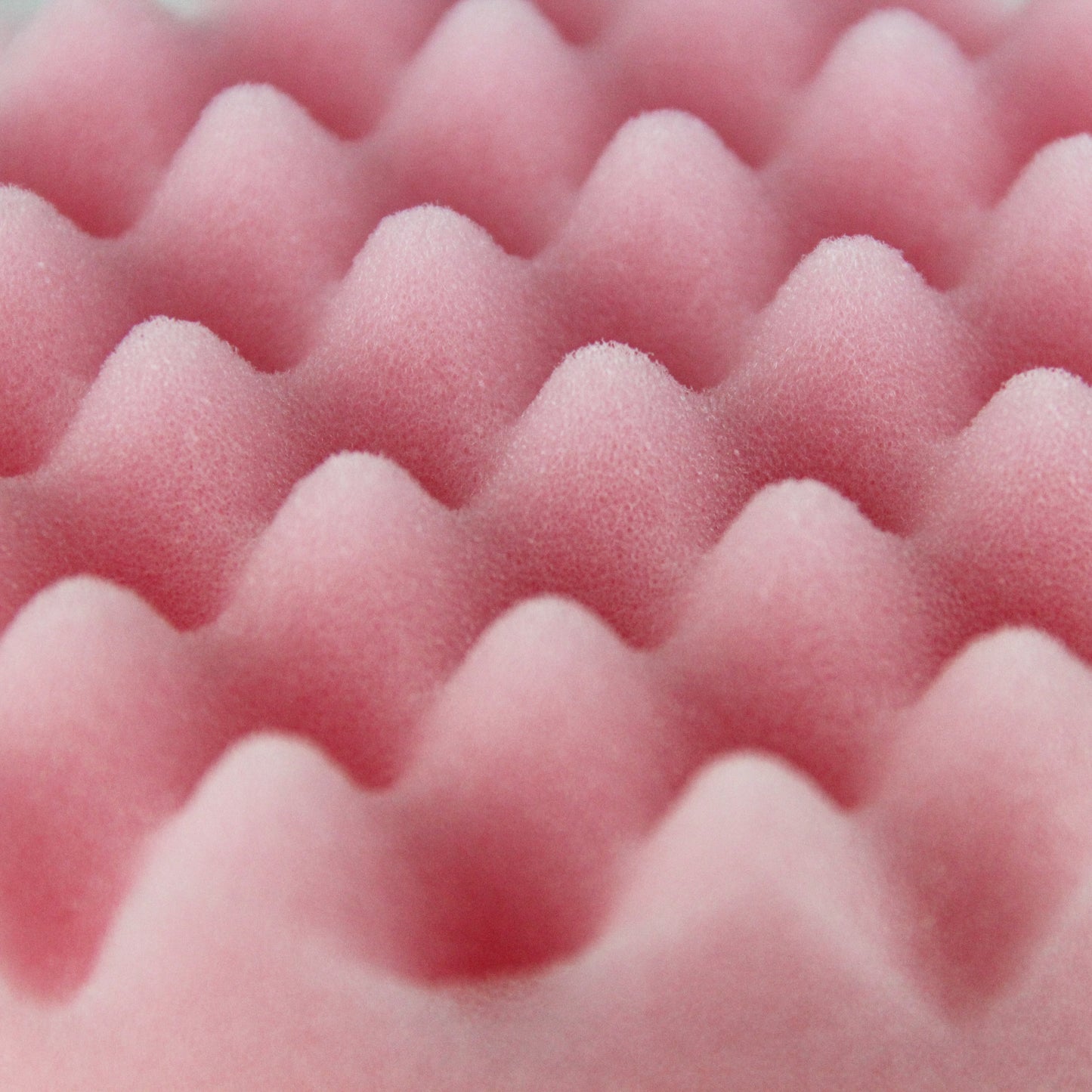 Spongy Buddy Back Cleanser (Pink)