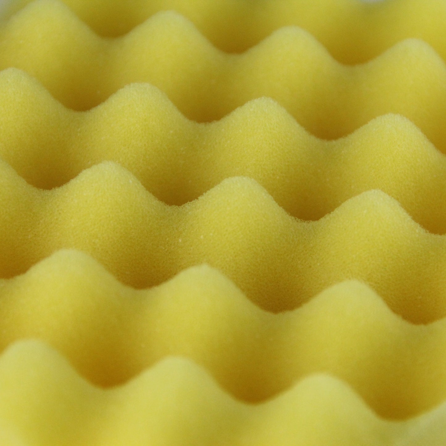 Spongy Buddy Back Cleanser (Yellow)